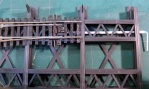 Highline Bridge 3